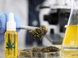 Cannabis Testing Labs